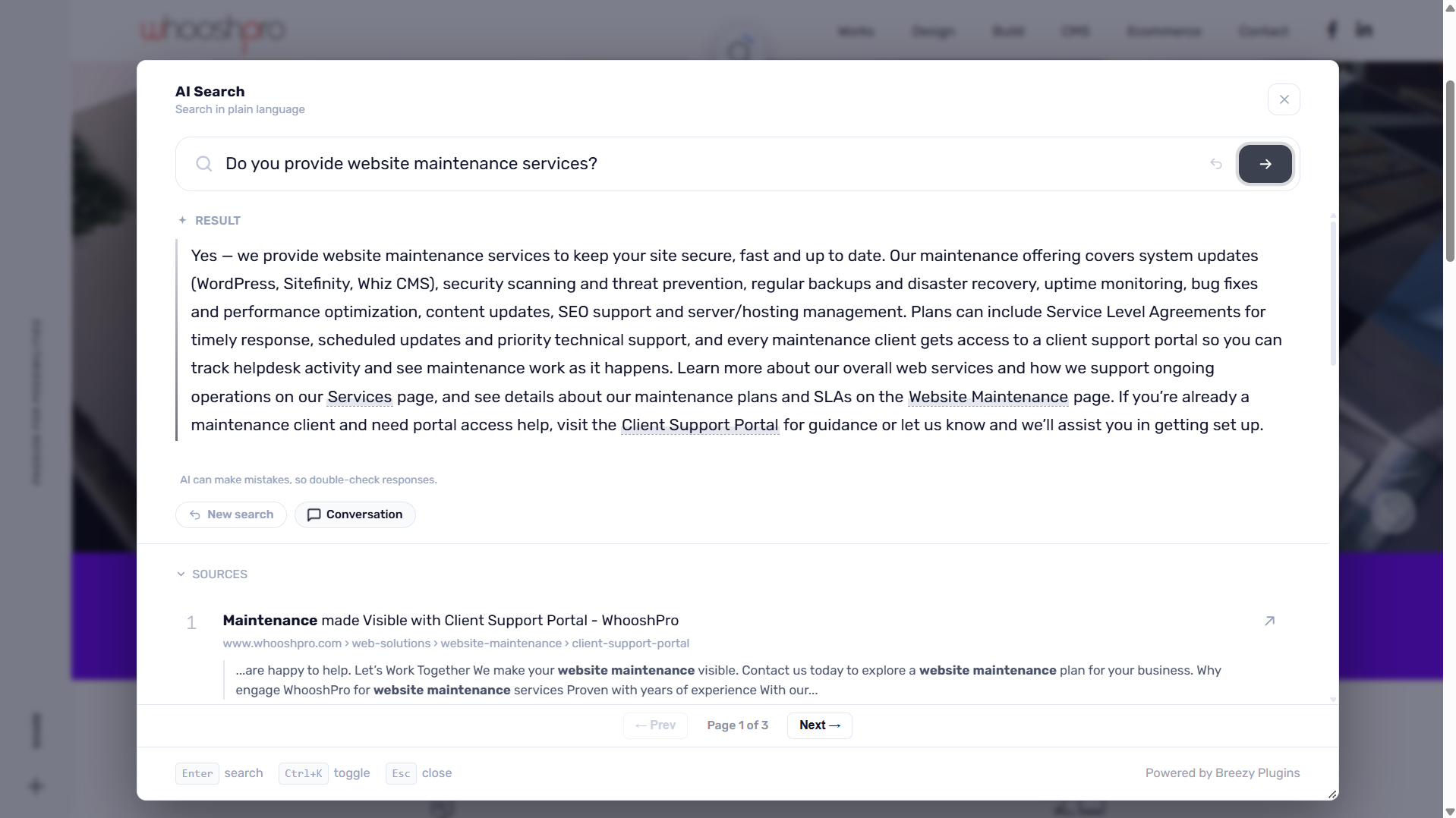 An actual AI Search answer to Do you provide website maintenance services